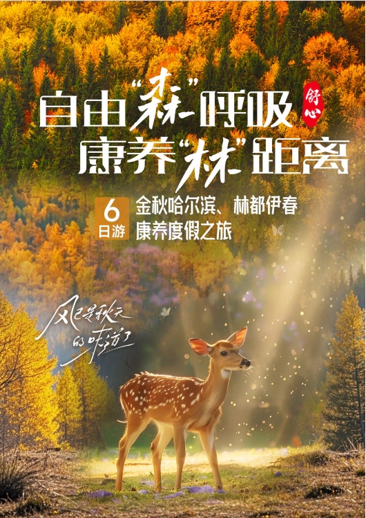 【金秋哈尔滨 林都伊春】哈进哈出6日游