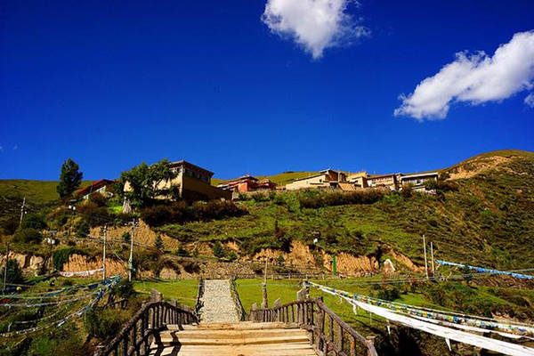 1709112816231118.jpg 1709112816231118.jpg