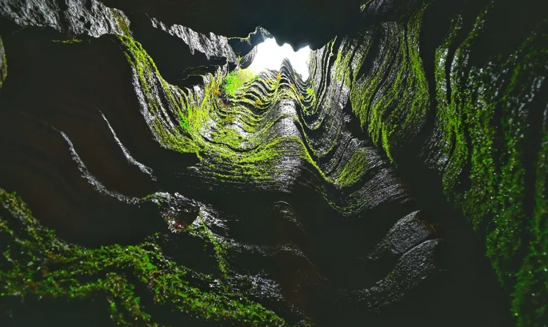 1733815315108172.jpg de491464e29925ce4ba364ac43ab825f_75e994fa3c55e42017928a054360208a.jpg